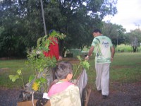 /album/reuni%c3%a3o-16-jun-12/img-0632-jpg/