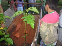 /album/reuni%c3%a3o-16-jun-12/img-0635-jpg/