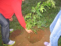 /album/reuni%c3%a3o-16-jun-12/img-0641-jpg/