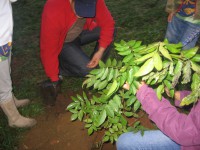 /album/reuni%c3%a3o-16-jun-12/img-0642-jpg/