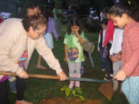 /album/reuni%c3%a3o-16-jun-12/img-0651-jpg/