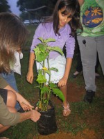/album/reuni%c3%a3o-16-jun-12/img-0655-jpg/