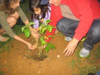/album/reuni%c3%a3o-16-jun-12/img-0657-jpg/
